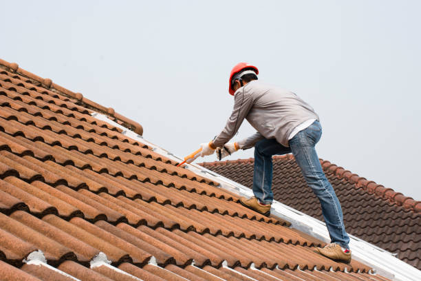 Best Solar Panel Roofing Installation  in Fort Hunt, VA