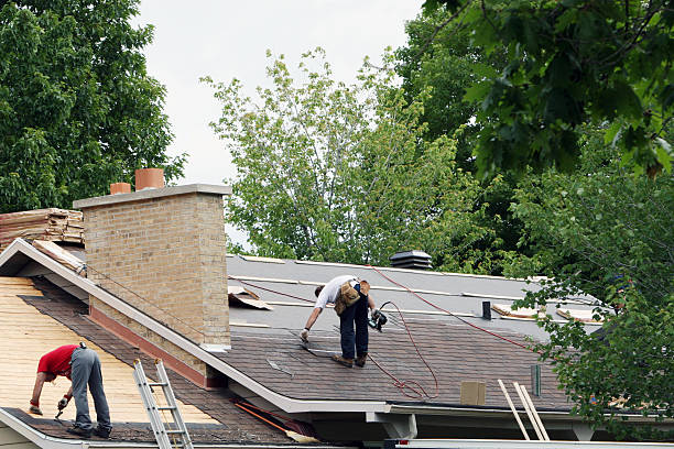 Best Rubber Roofing (EPDM, TPO)  in Fort Hunt, VA